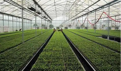 灌南农业重点项目建设如火如荼 累计投入资金30多亿元​