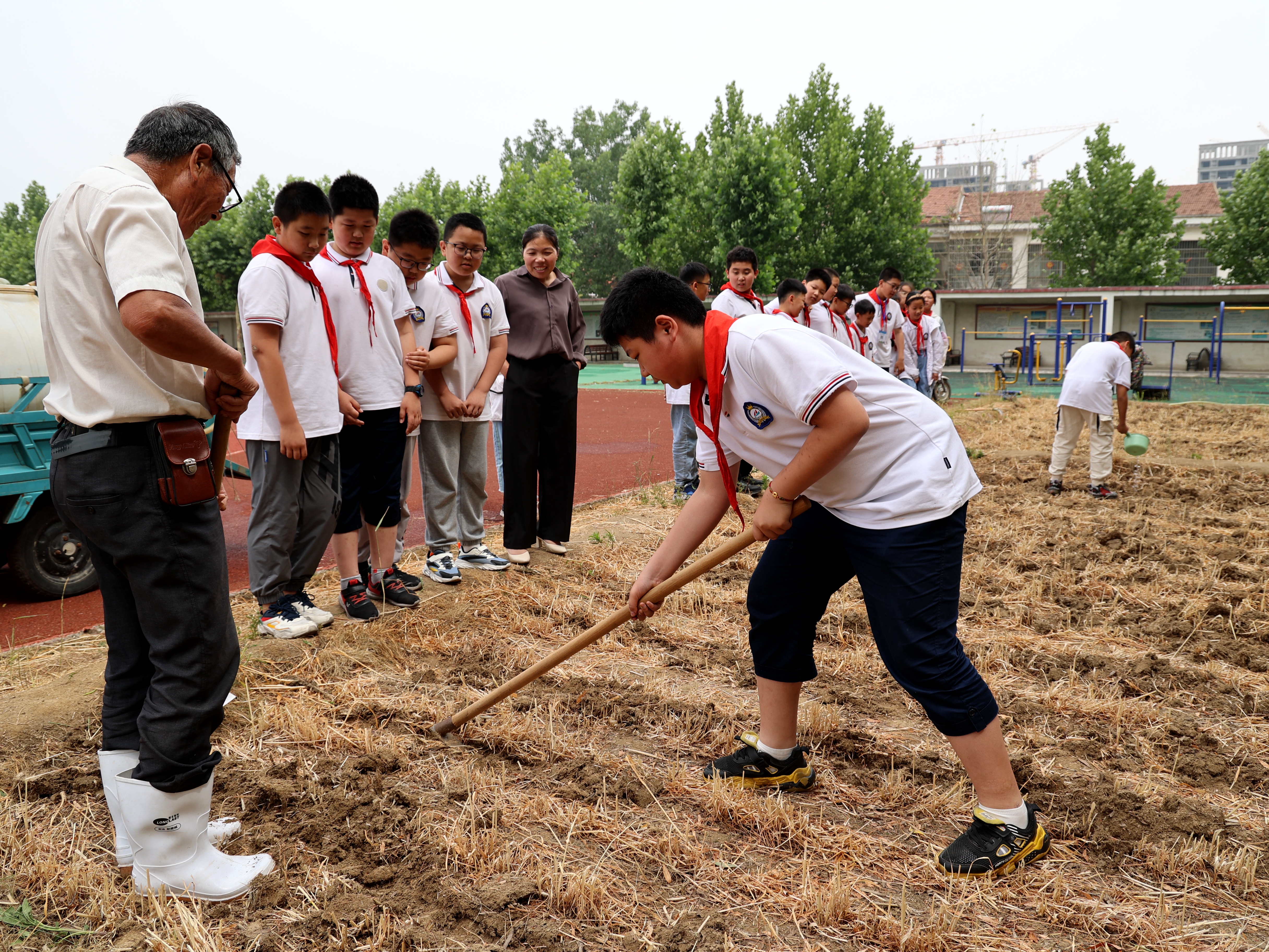 黄海路小学 劳动教育 快乐成长