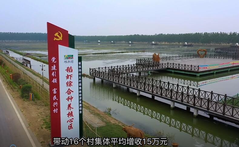 富民兴村·路径引航⑧赣榆区“1+N”共富联合体助推兴村富民
