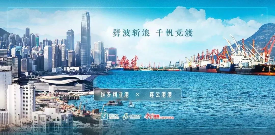 连云港&香港，花香飘两港！