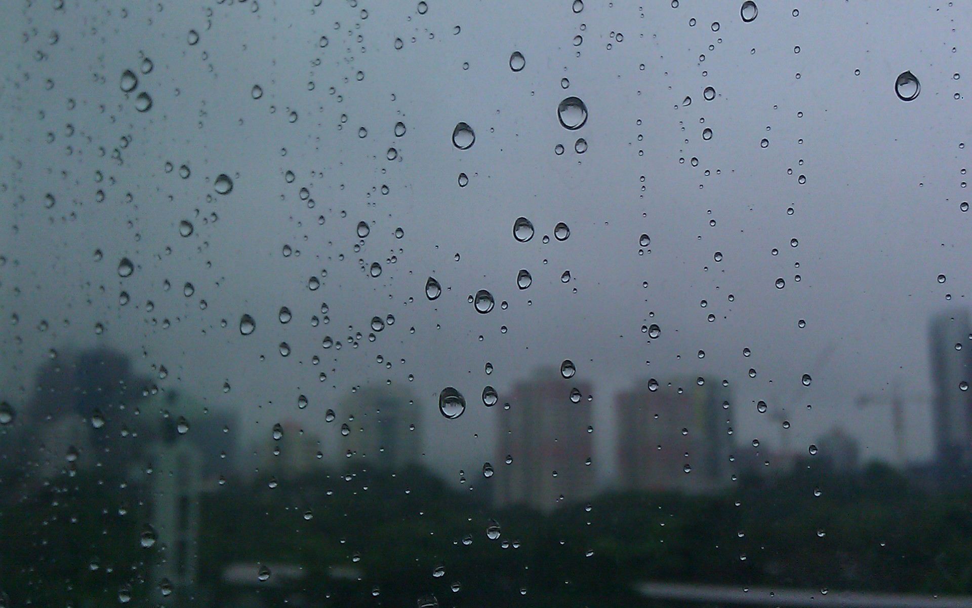 雨来高温暂歇 末伏气温仍有间断性“狂热”