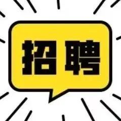 高校毕业生专场招聘会举办  24家单位提供600余个岗位