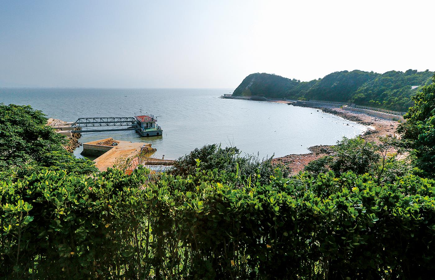 连云港：生态修复素手泼翠 昔日的石头岛披上“绿羽裳”