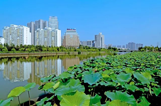 连云港：加强沿河生态建设 优化营商“硬”环境
