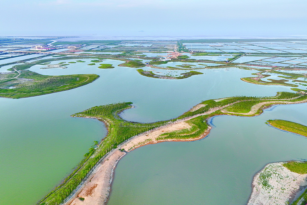 白鹭湿地公园风景怡人美如画