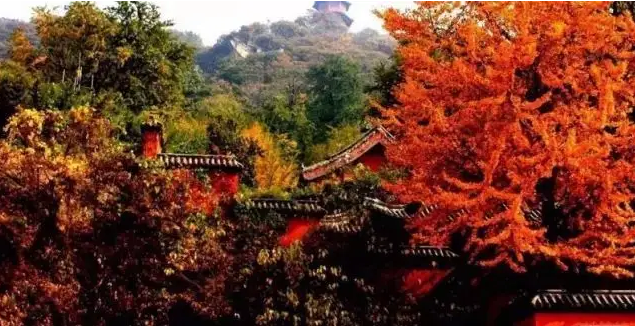 本周多晴好天气 明起气温逐步回升