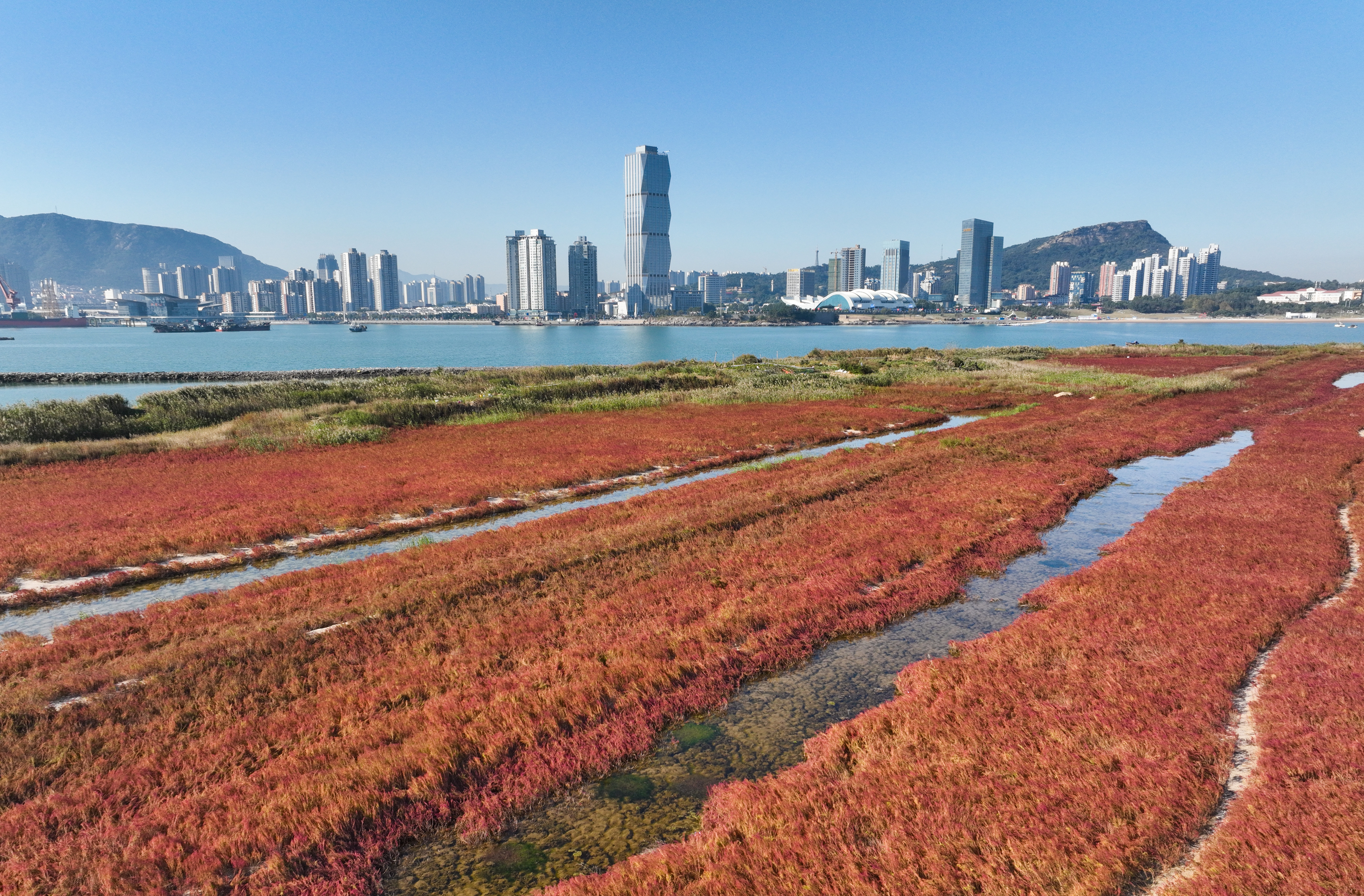 海英草红透湿地