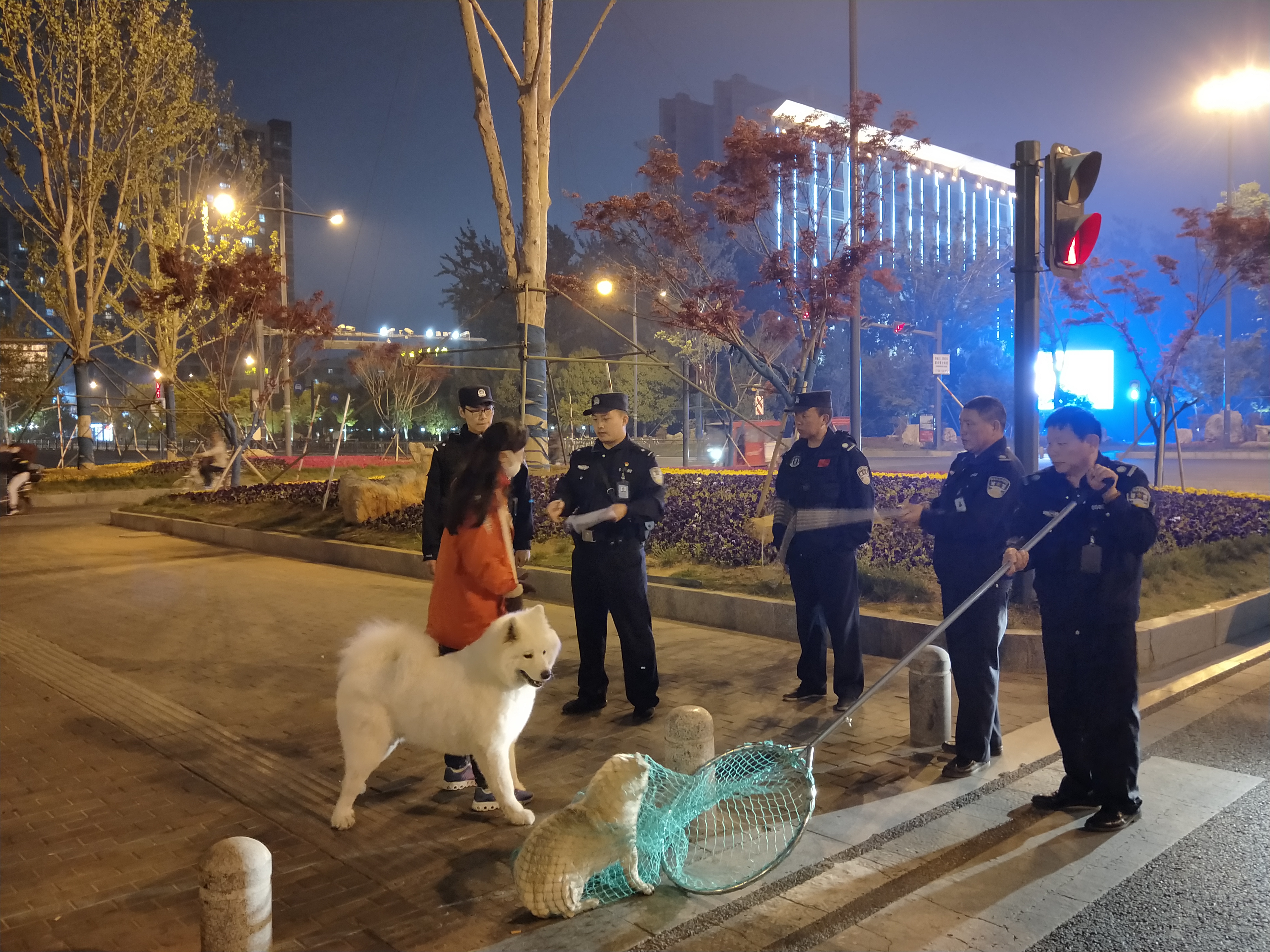 为期20天专项整治，海州对不文明养犬说“不”