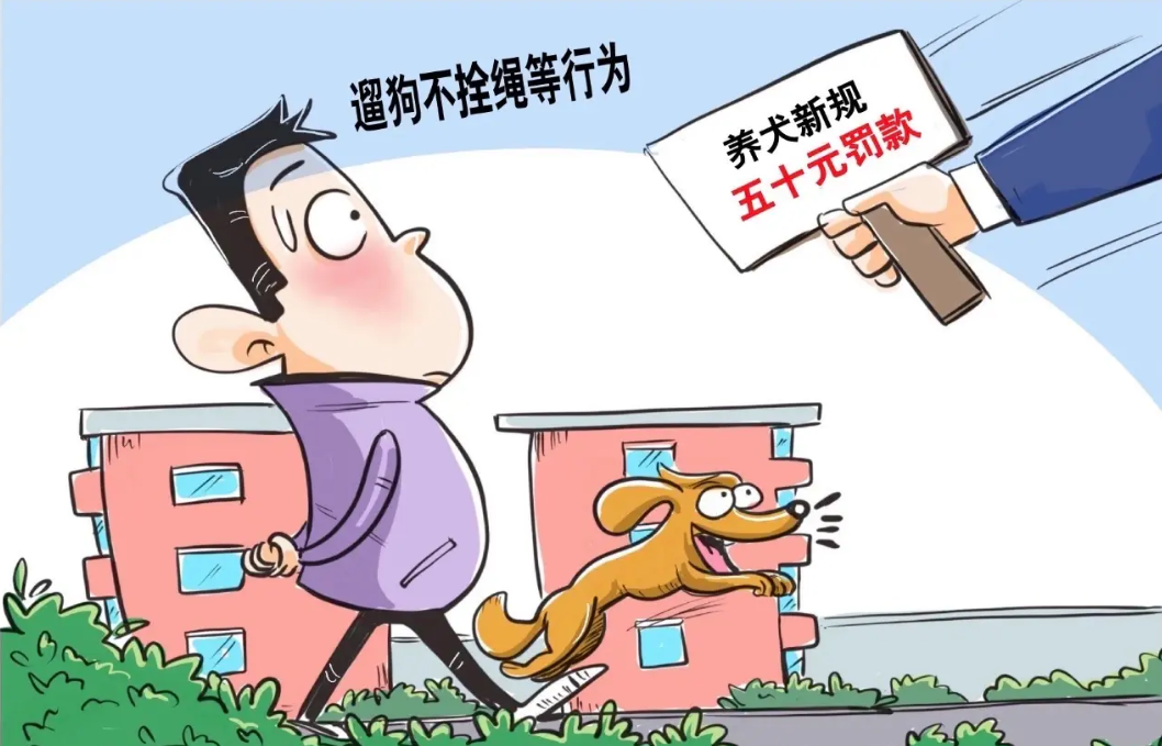 连云港城区禁养犬共46个品种 为期20天专项整治 对不文明养犬说不