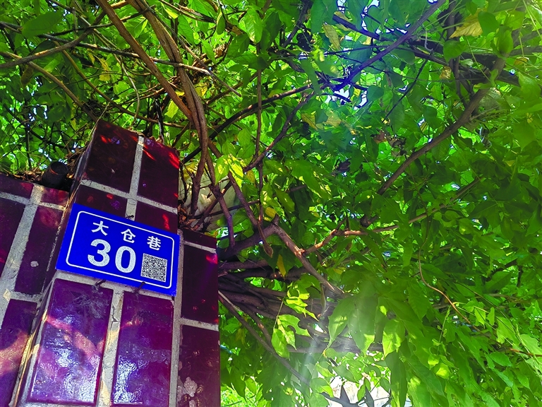 大仓巷小仓巷 昔日粮仓变身百姓后花园