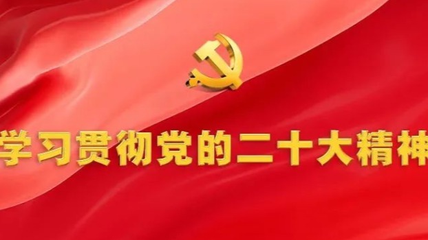 凝聚青春力量 激扬税务奋进动能
