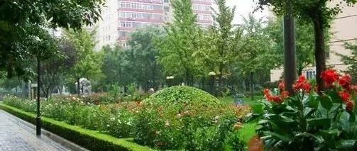 建设生态园林城市  增进市民绿色福祉  连云港市口袋公园建设指南出炉