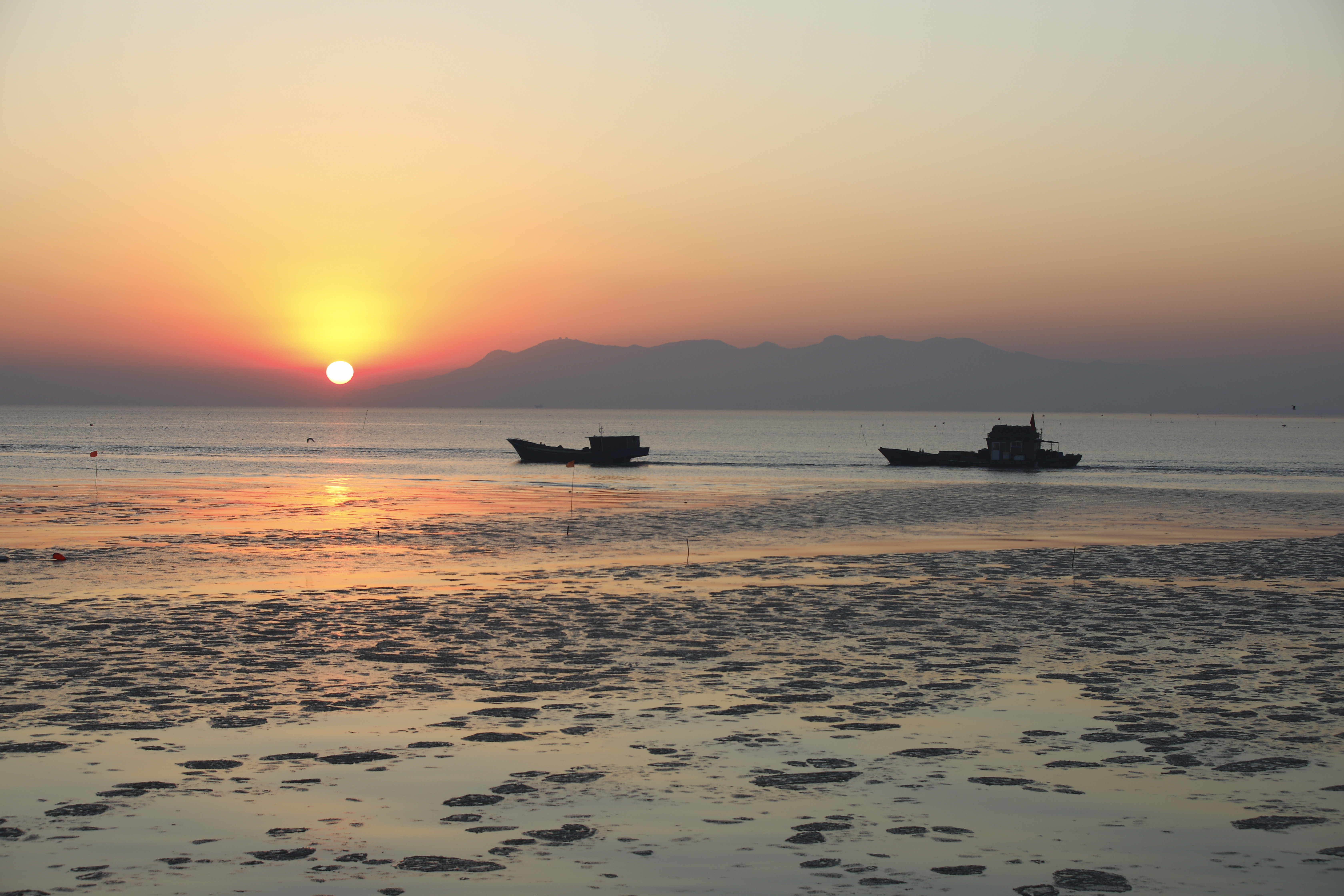 中国对虾国家级水产种质资源保护区缘何“花落”海州湾？