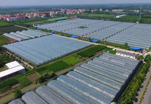 新时代 新征程 新伟业 | 加快建设农业强市  全面推进乡村振兴