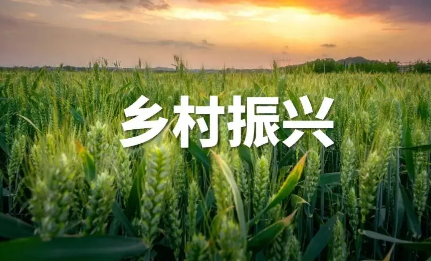 连云港市供销社“三新惠农”助力乡村振兴