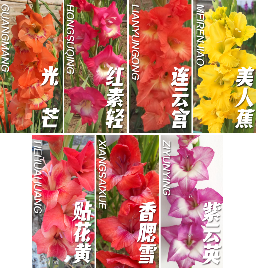 国际市场通行证，到手！