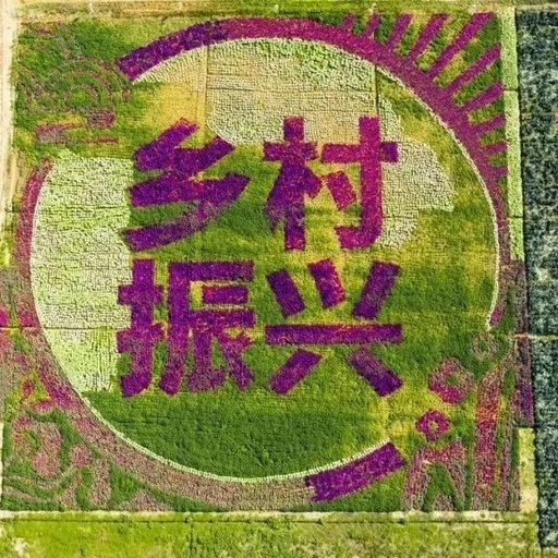 连云港市乡村振兴实绩考核列省“进位第一等次”