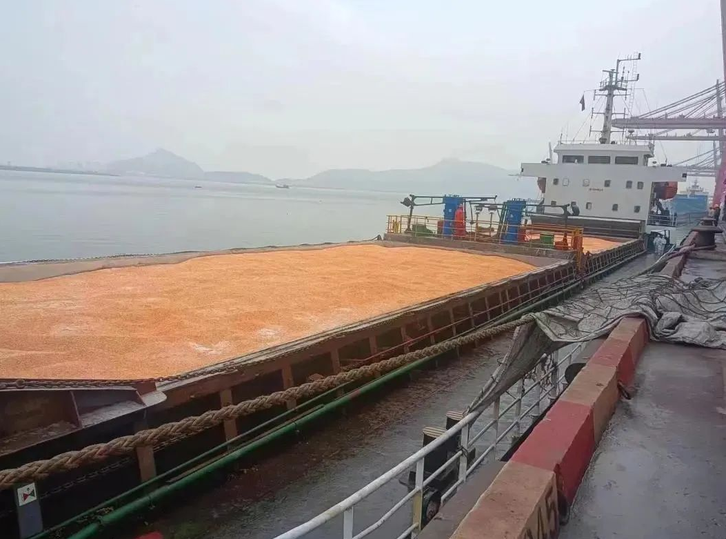 打破玉米美洲进口路径依赖 港口首靠俄罗斯散装玉米船