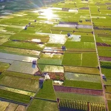 全市40个高标准农田建设项目“扫尾”