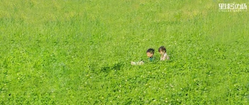 守护美丽海岸线让春日羊山岛更洁净