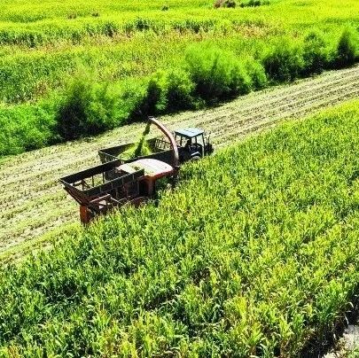 田间地头探秘“舌尖安全”