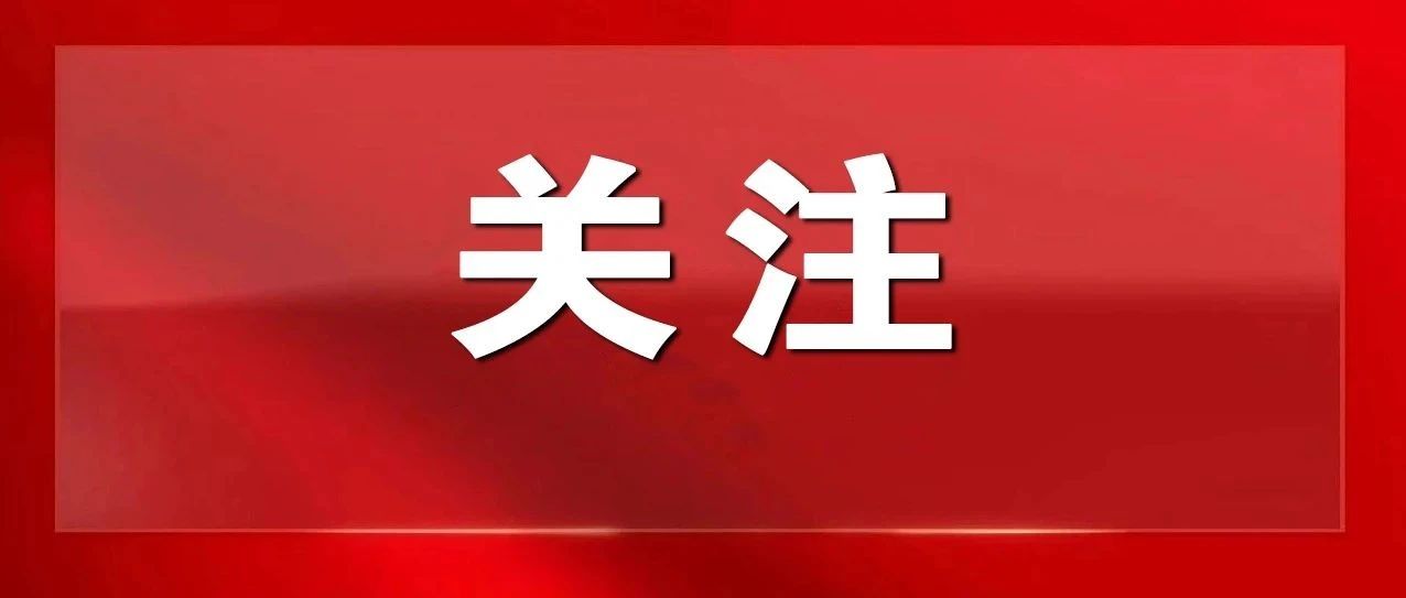 教育部新时代中小学名师名校长培养计划，我市一人入选！