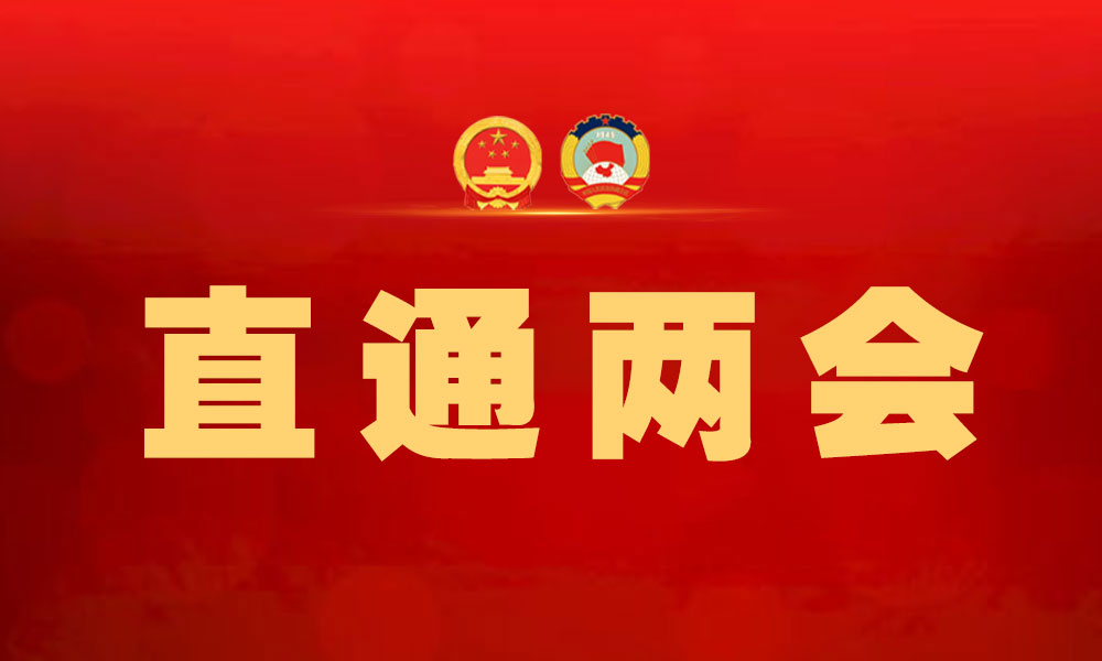 在连全国人大代表向大会提交建议21件