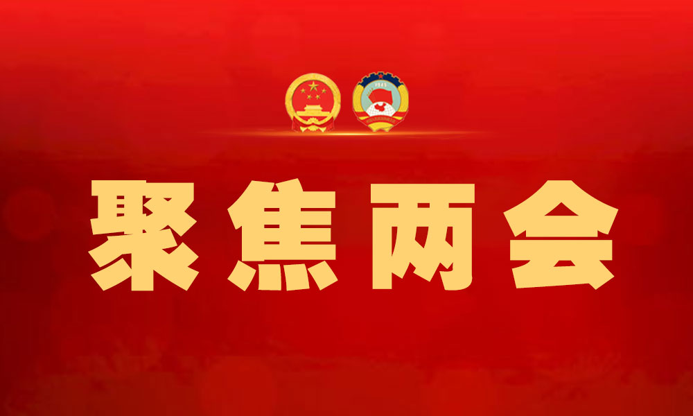 习近平在十四届全国人大一次会议上发表重要讲话