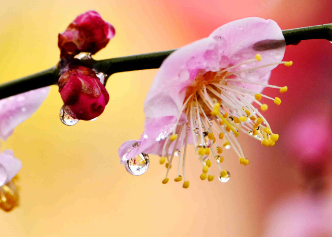 好天气余额不足 明后天小雨登场