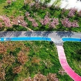 连云港市6处绿地入选全省“乐享园林”