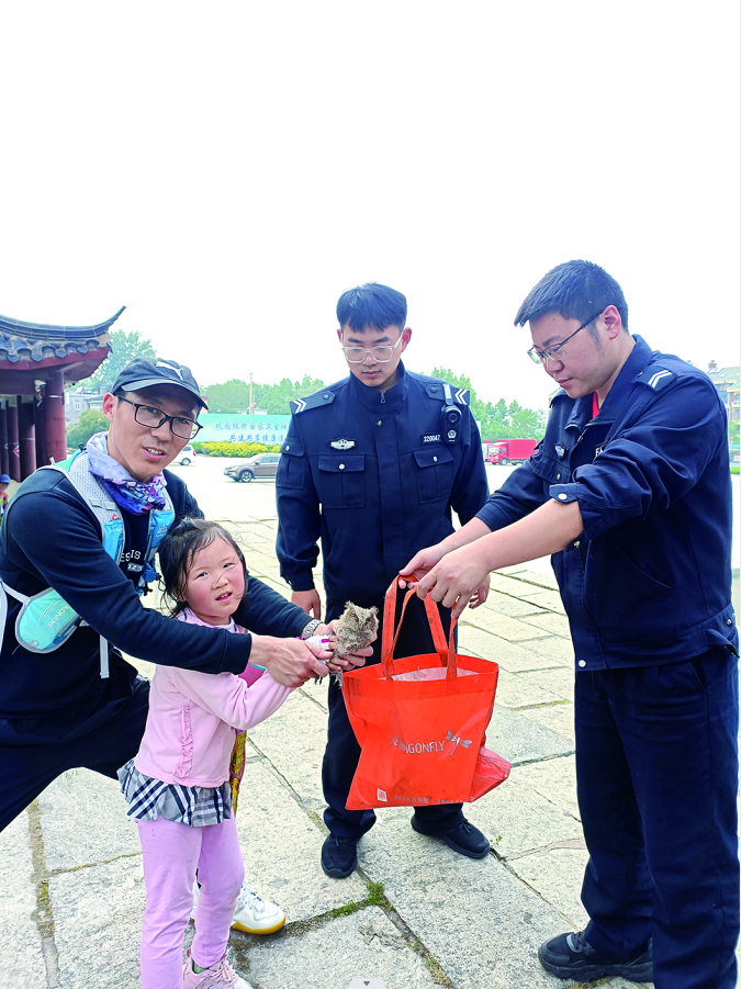 踏青父女救雏鸟  