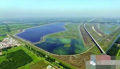 蔷薇湖持续做好水质调试  保障汛期市区应急供水