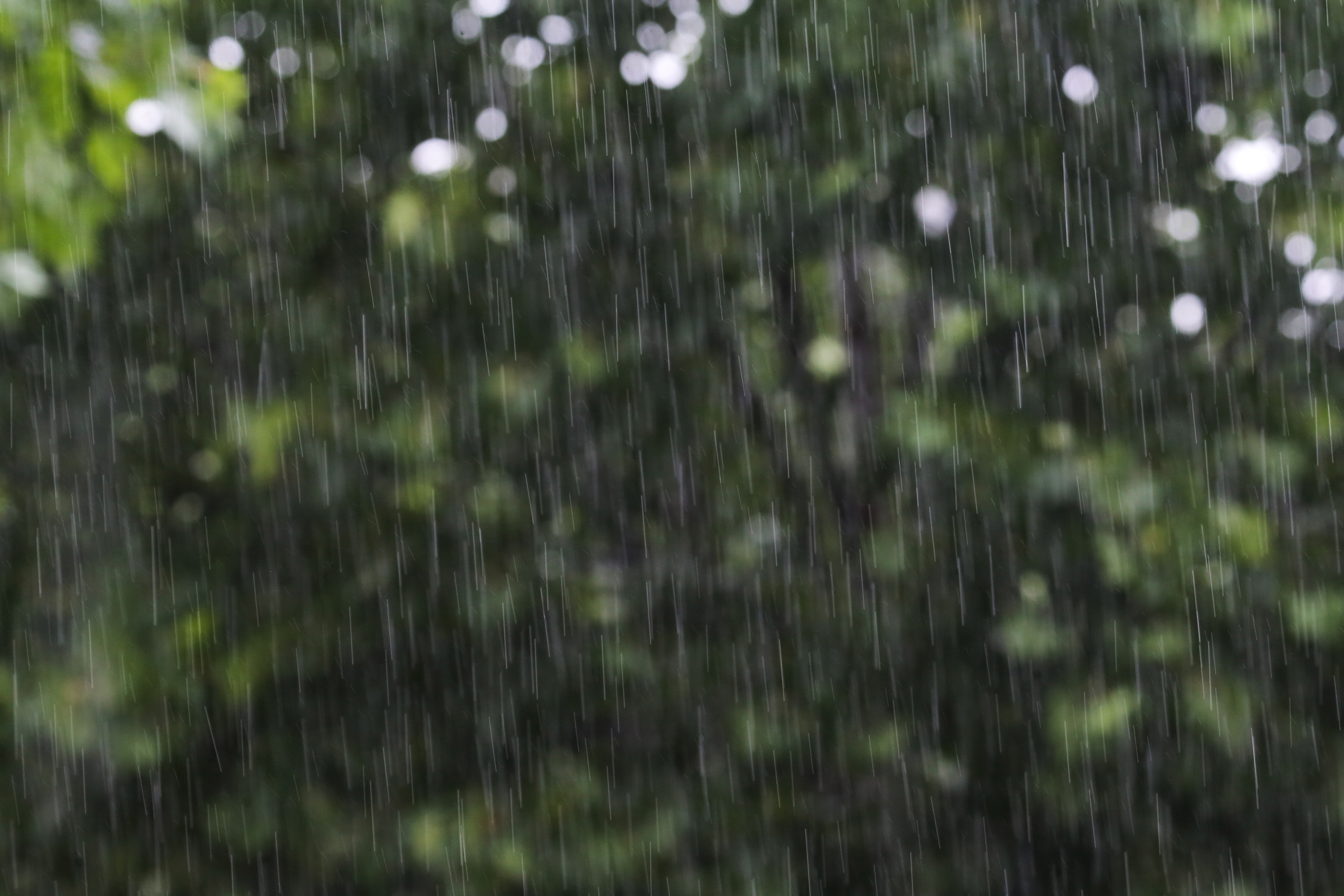 小雨渐止 气温回升