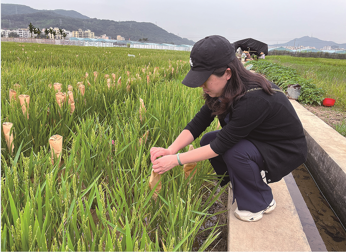 人物志 |刘艳:让盐碱地变为藏粮仓