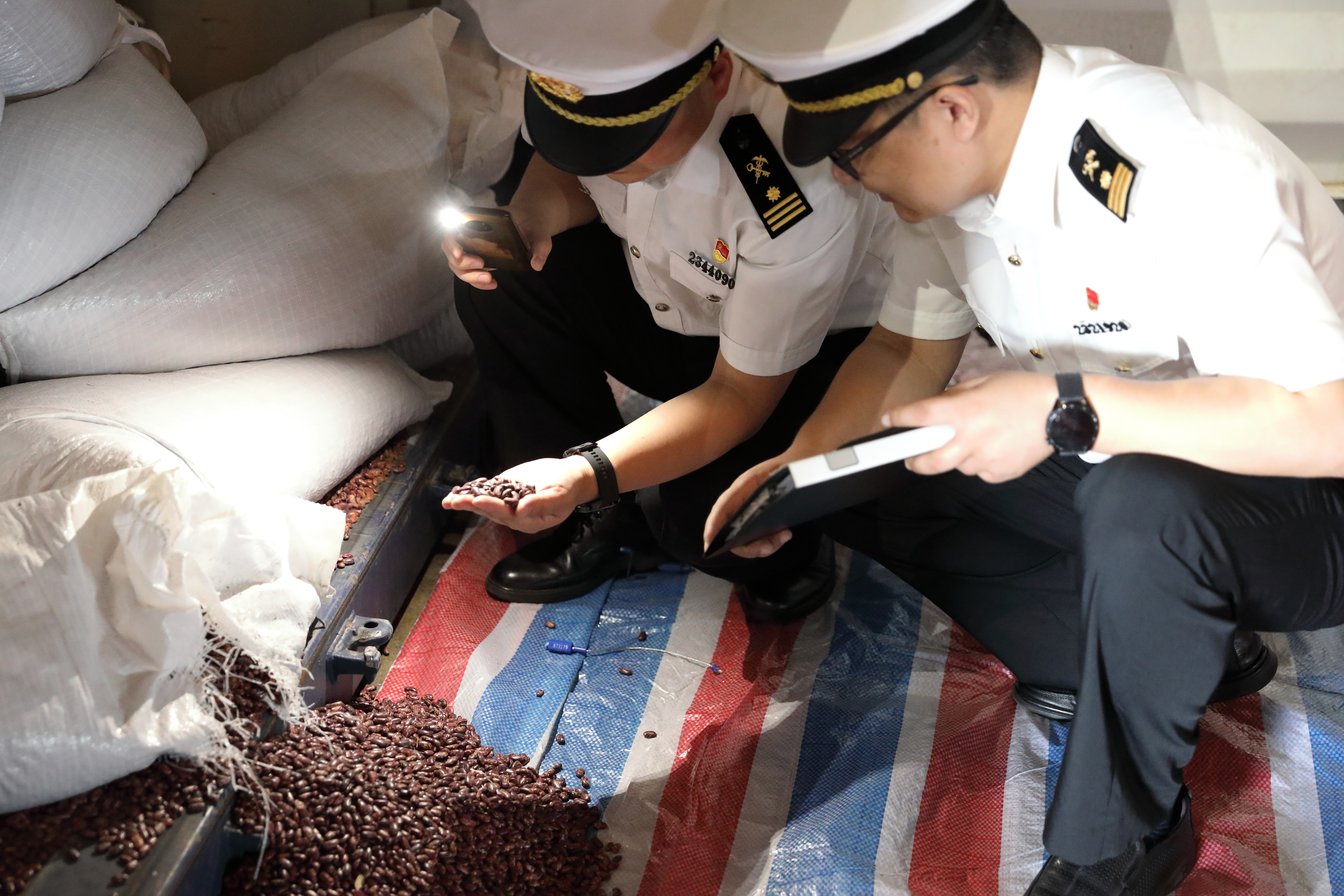 中欧回程班列乌兹别克斯坦芸豆首次过境连云港