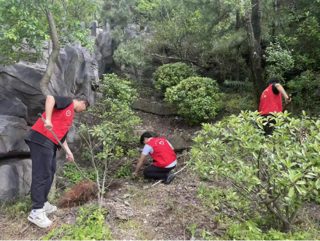 夏季除草正当时 筑牢防火安全墙