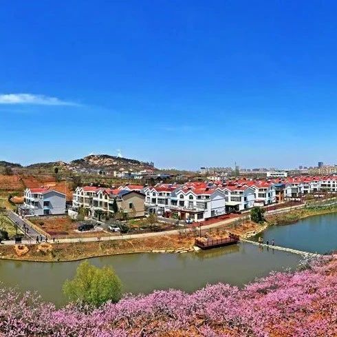 市委驻东海县乡村振兴帮促工作队：项目为纲绘制生机勃勃产业振兴图