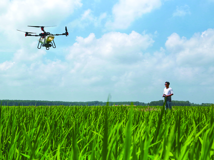 海州区运用大型无人机开展水稻管理工作   有力提升管理质效