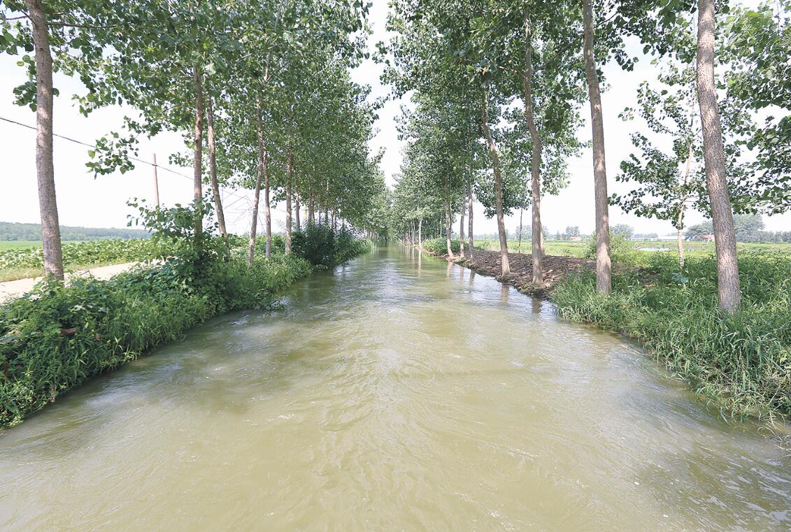 河畅 水清 岸绿 景美 生态河道蝶变 “点睛”港城乡村振兴