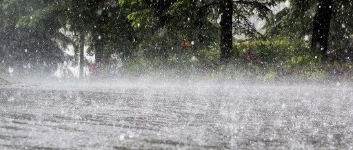 全市普降暴雨