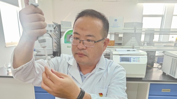 “餐桌上的科技”系列报道 | 优质高产小麦让面食更可口
