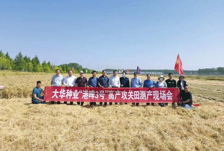 “餐桌上的科技”系列报道 | 破解啤酒大麦本土化“密码”