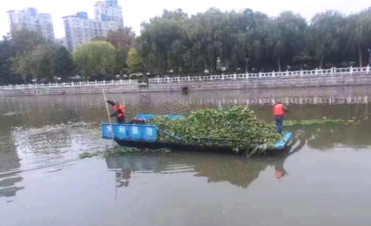 市水利部门全力清理“水白菜” 回应群众关切