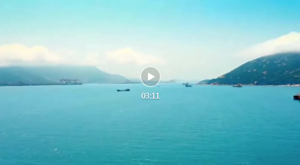 连云港市力助企业开拓多元化国际市场