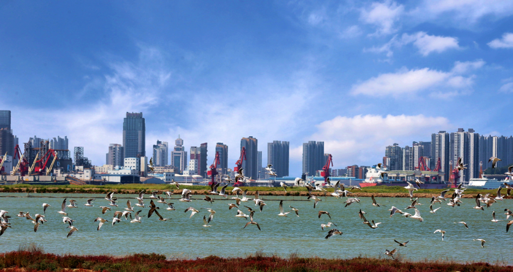 揪出污染源  守护“港城蓝” 连云港多措并举治理建筑工地扬尘污染