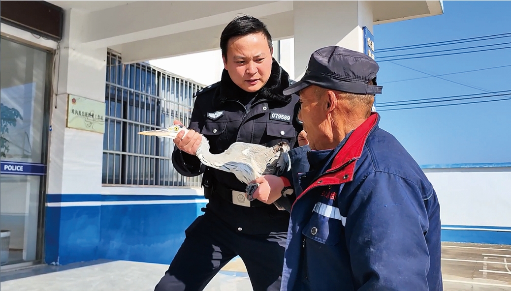 村民捡到折翼苍鹭 警民及时救治