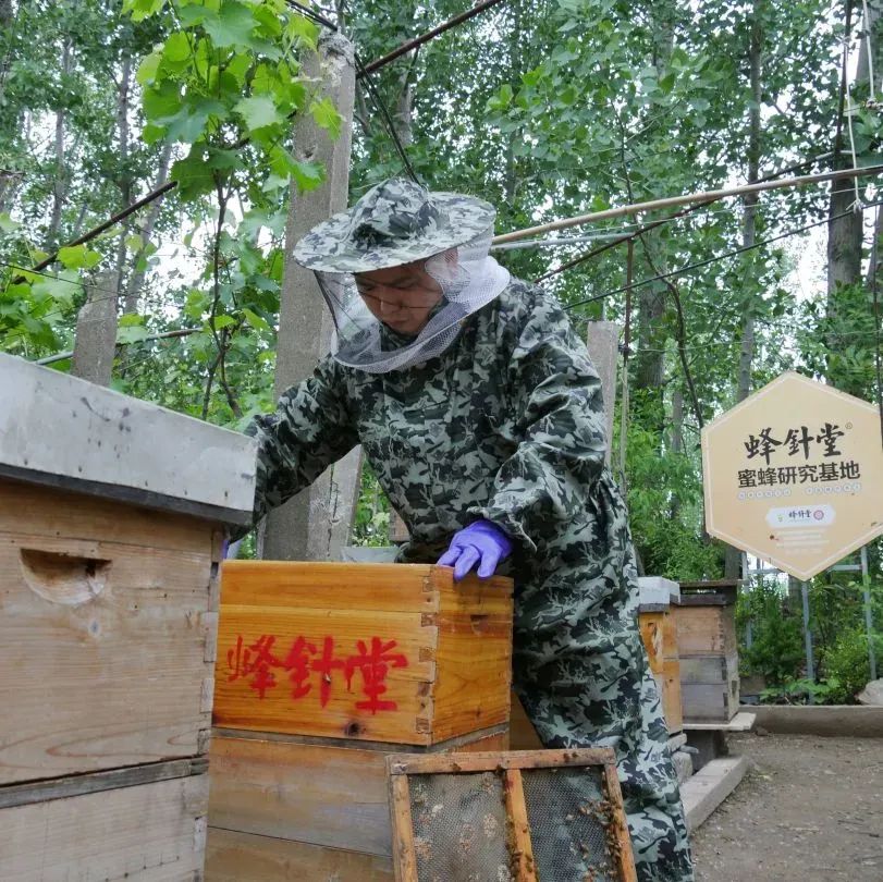 寻访海州“守”艺人：匠人匠心，身怀绝技！