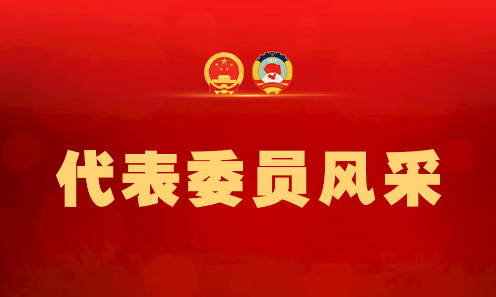 协调联动  提升行政执法监督质效