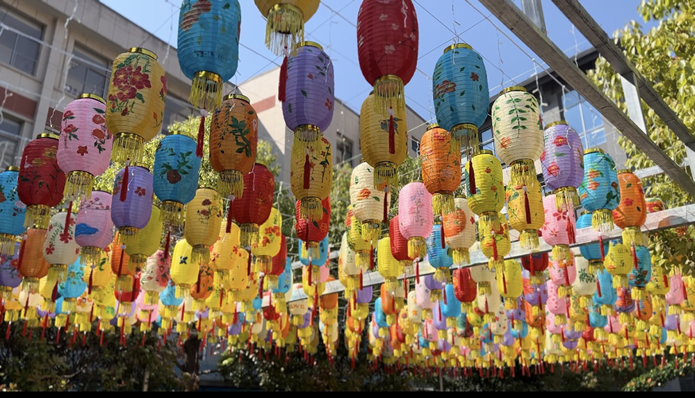 连云港外国语学校 | 花灯绽放 芳春可赏