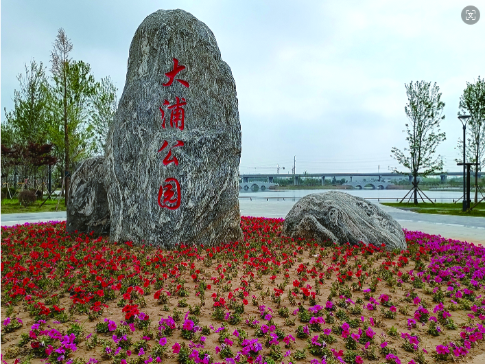 市開發(fā)區(qū)大浦公園即將建成開放